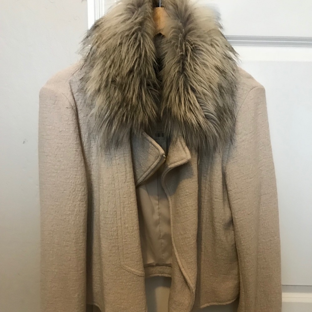 Ann Taylor wool Moto jacket